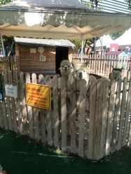 -萌宠亲子动物乐园(槐房万达店)