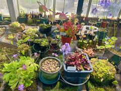 -国家植物园南园