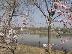 -南开大学(津南校区)