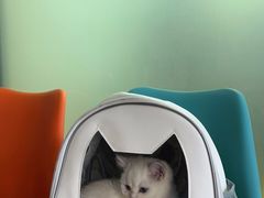 -纳吉亚猫专科动物医院博雅分院