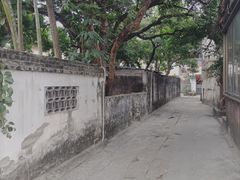 -三溪村