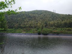 -宁波浙东大竹海景区