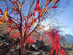 -叠溪松坪沟景区