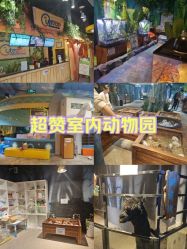 -酷嗒动物文化乐园(cutezoo西溪乐天城店)