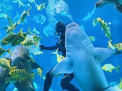 -太平洋海底世界