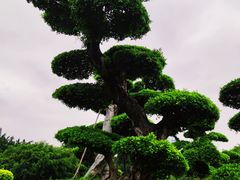 -南宁南湖公园