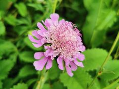 -白草畔自然风景区