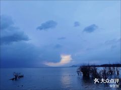 -野菌皇海景野生菌火锅(滨海大道店)