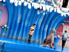 -华夏文旅海洋公园