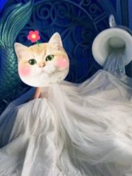 -华东饭店·园林式婚礼宴会厅酒店