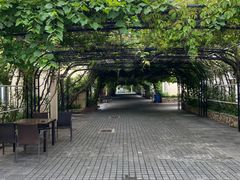 -大连罗马假日酒店温泉