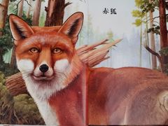 -荔湾区图书馆(周门馆)