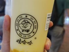 -娃哈哈·奶茶(武林店)