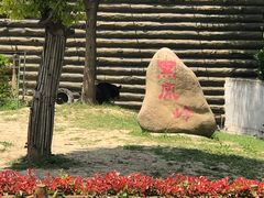 -常州淹城野生动物世界