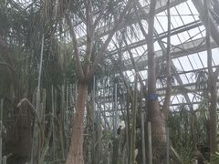 -南山植物园