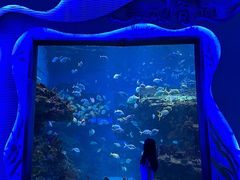-海合安成都极地海洋公园
