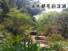 -火炉山森林公园