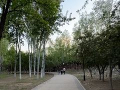 -太阳宫公园