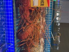 -大东海海鲜酒楼(渔人码头总店)