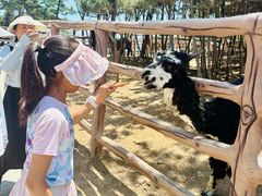 -西霞口神雕山野生动物世界