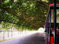 -米果果小镇