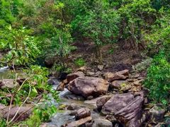 -广州白江湖森林公园