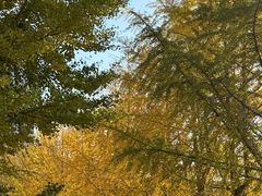 -辽宁大学(崇山校区)