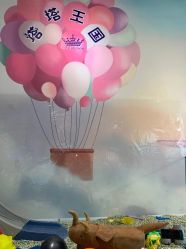 -塔塔王国·主题儿童游乐园(奥城商业广场店)
