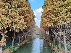 -捞渔河湿地公园