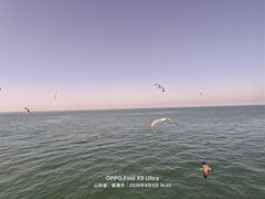 -海驴岛(荣成市)