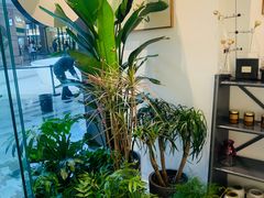 -植物学家的女儿(北马道巷店)