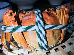 -丫丫蟹庄·苏式园林农家乐·阳澄湖大闸蟹(阳澄湖莲花岛店)