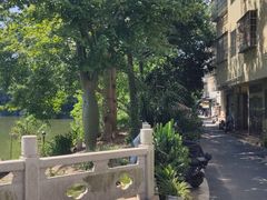-黄埔古港