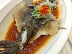 -聚鑫阁江浙菜·非遗传承技艺(闵行交大店)