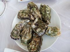 水煮生蚝-渔民船说·北塘海鲜·天津菜·海肠捞饭(北塘古镇店)