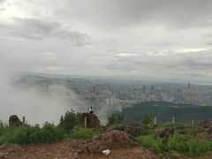-长虫山生态公园风景林