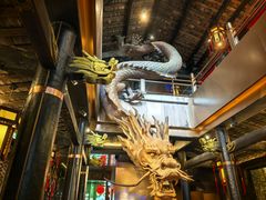-小龙翻大江文化火锅(宽窄店)