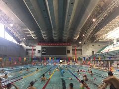 -陕西省体育训练中心-游泳馆