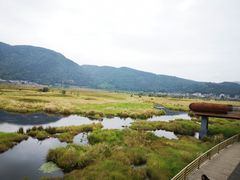 -腾冲北海湿地