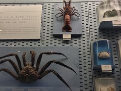 -浙江自然博物院(杭州馆)