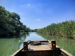 -西溪国家湿地公园