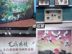 -甘肃省博物馆