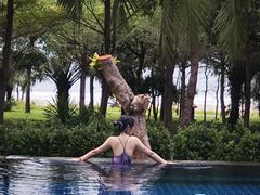 -三亚湾海居铂尔曼度假酒店