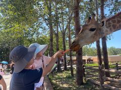 -大连森林动物园