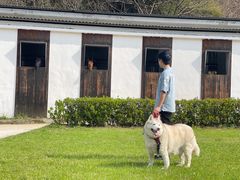 -枫露马术学院(藏书校区)