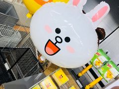 -line friends(明洞旗舰店)