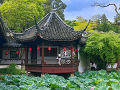 -上海醉白池公园