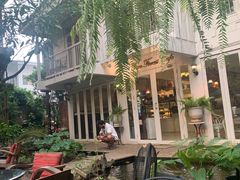 -Fern Forest Cafe