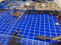 -百纳·锦绣江南 (百纳瑞汀酒店)