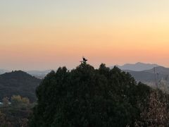 -红螺寺